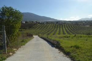 Land, R3770662